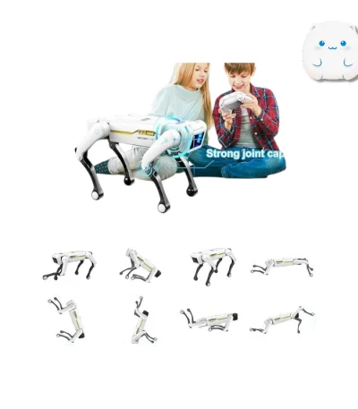 انواع حرکات نمایشی و مفاصل منعطف سگ رباتیک Machine Dog